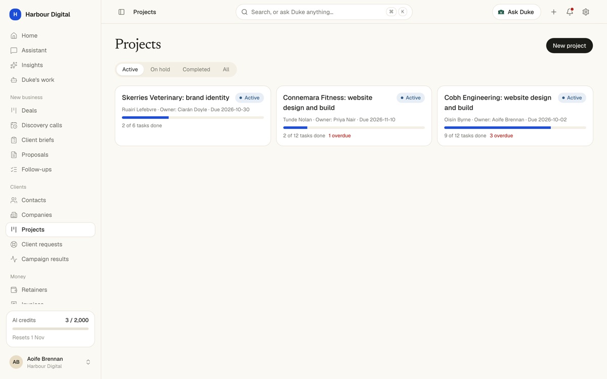 Projects list with a brand identity, two websites and their progress bars and overdue tasks