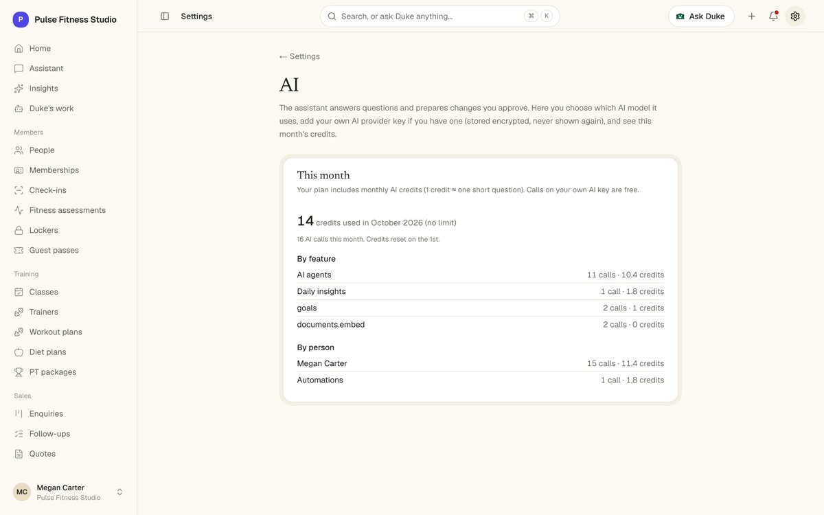 AI settings: this month's credits by feature and by person