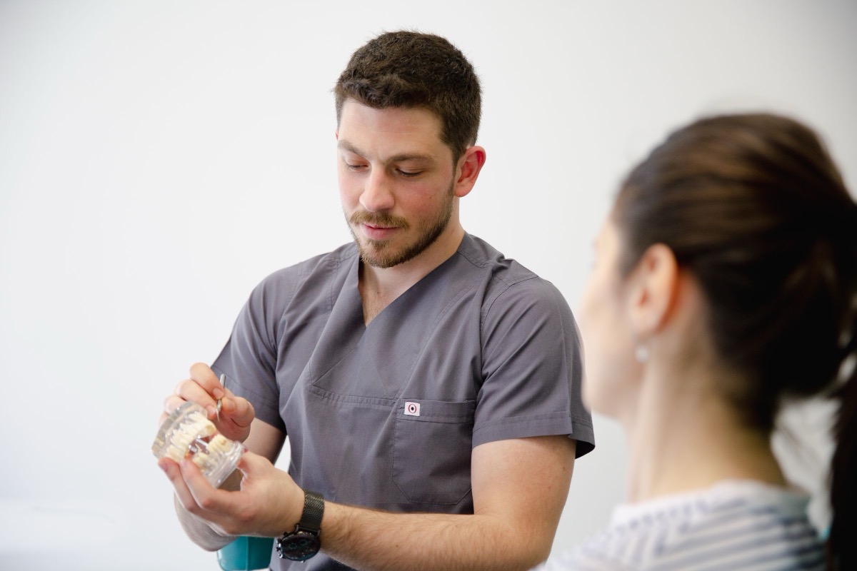 A dentist explaining a dental model to a patient